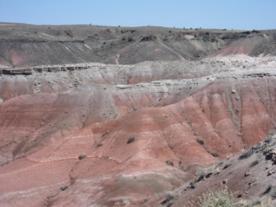 painted desert